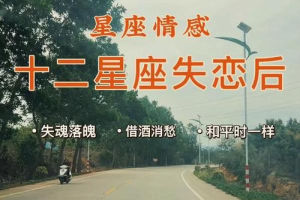 十二星座失恋了很痛苦怎么办