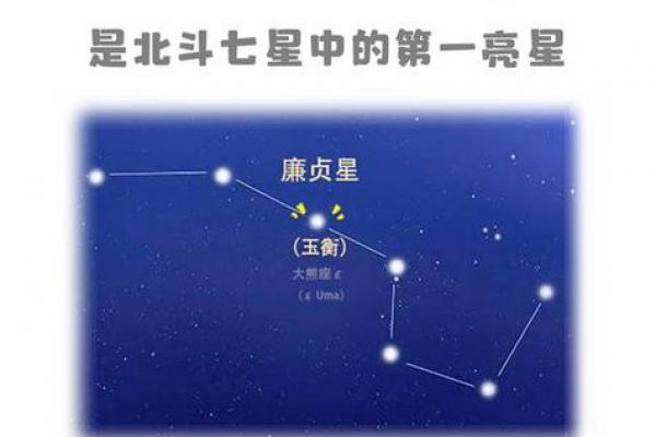 紫微斗数怎么看是小限 紫微斗数大小限的算法？