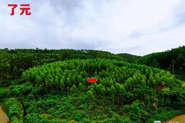 如果看阴宅风水宝地