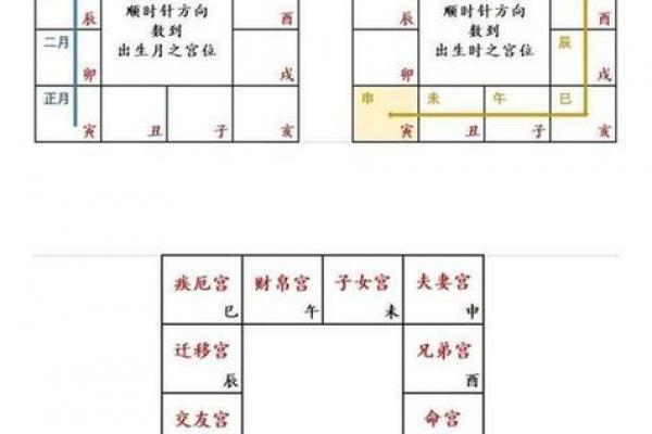 p11子女宫11-1#命理#紫微斗数#二十八宿#五星术