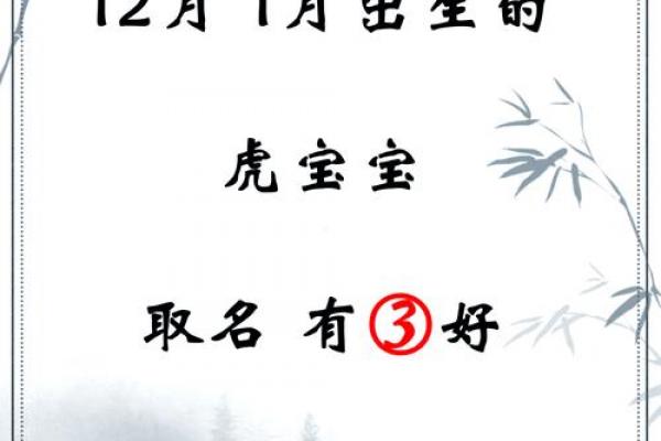 取名网免费姓名测试,虎宝宝取名心字好不好