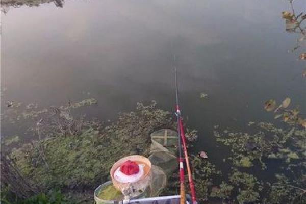 房子上面铺泥沙好吗风水