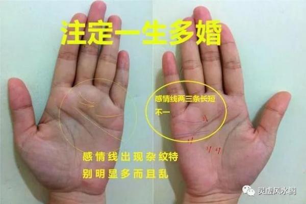 离婚风水命里有二婚的四个生肖有哪些
