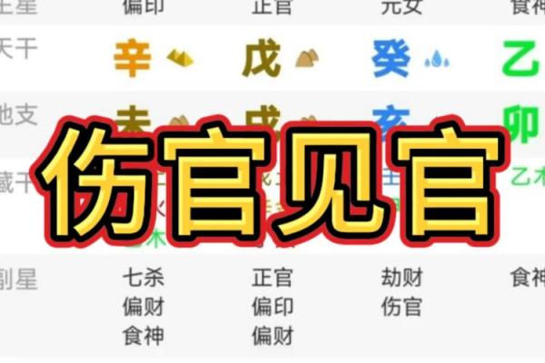 风水女命伤官见官会发生什么事