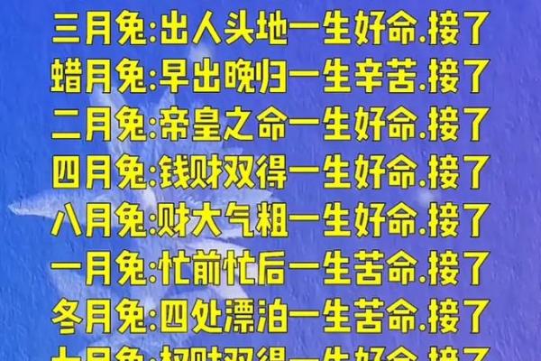 免费算八字