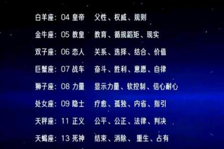 十二星座最适合哪种魔法师