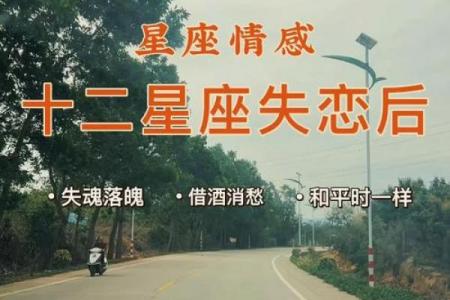 十二星座失恋了很痛苦怎么办