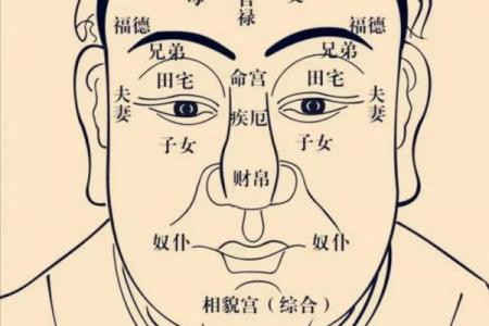 紫薇斗数shenpa