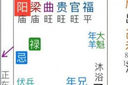 紫微斗数疾厄宫武曲化权