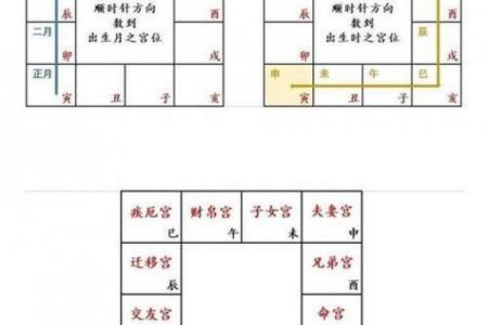 p11子女宫11-1#命理#紫微斗数#二十八宿#五星术
