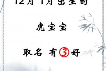 取名网免费姓名测试,虎宝宝取名心字好不好