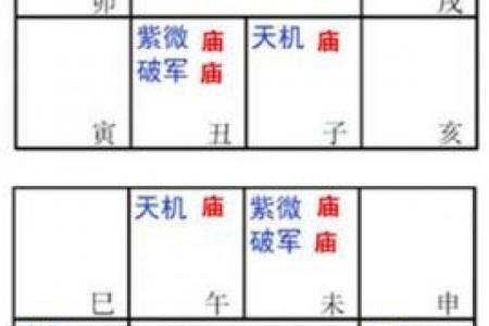 紫微斗数诸星落诸宫之：巨门星兄弟宫详解