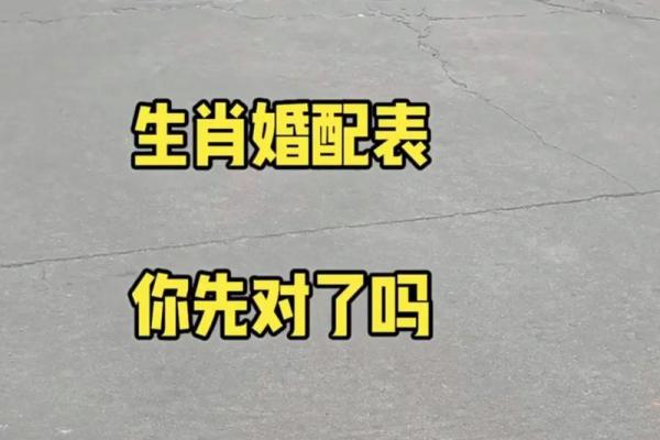 合婚姻属兔和属鸡的八字配不配 能做夫妻吗