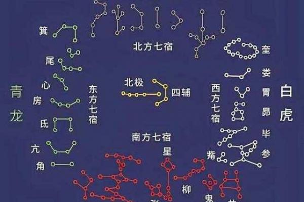 东有小山紫薇斗数7