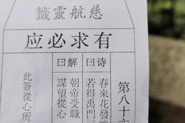 观音灵签81读书签解签