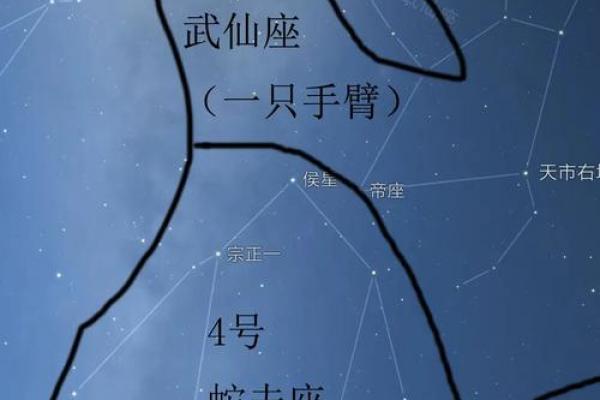 如何从对方手臂上看出星座