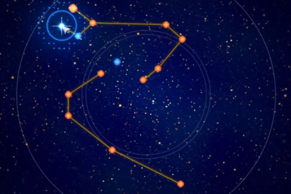 如何从对方手臂上看出星座
