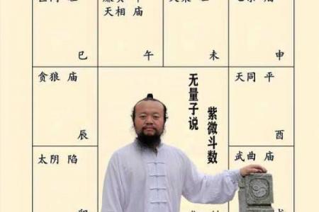 阿金紫薇斗数博客