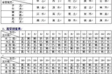 紫薇斗数阳历盘