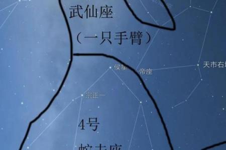 如何从对方手臂上看出星座