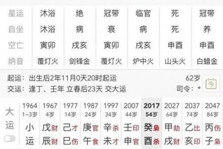 八字官禄