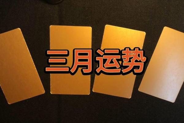 塔罗测试：三月你的事业运势如何？