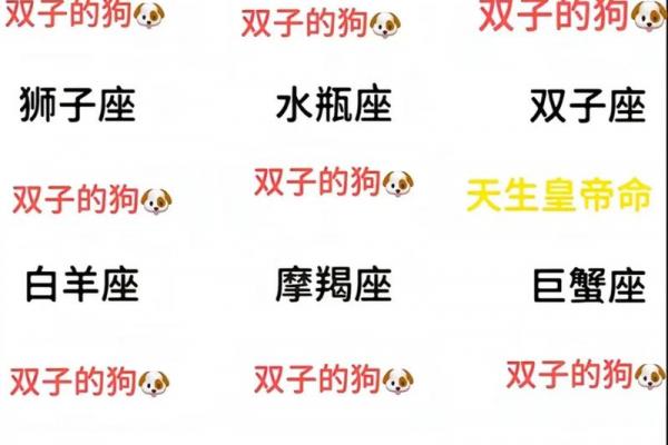 双子座是偏执的星座吗女生