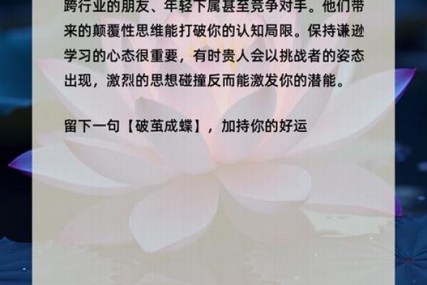 心理测试-选择你最喜欢的荷花，测你命里有没有横财发生？