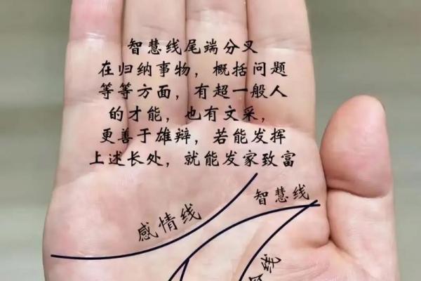 手相算命的基本原则