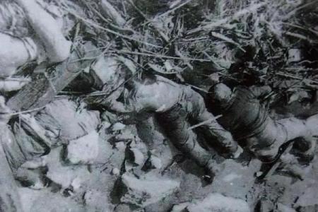 杀人魔帝看似八字羸弱实则暴虐，血腥屠城最后因木而死
