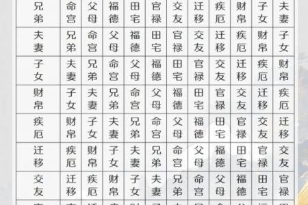 紫微斗数诸星落诸宫之，贪狼星：阳木疾厄宫详解