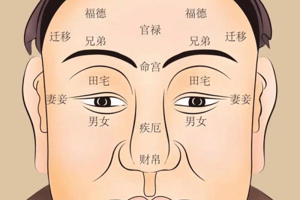 济缘算命：解读鼻子对命运的影响