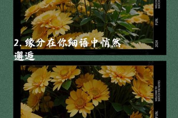 管姻缘的不是月老文案 管姻缘的除了月老还有谁？