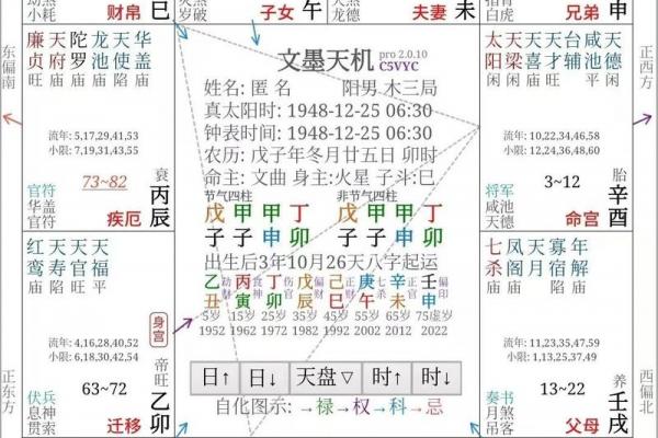 紫薇斗数命主什么意思