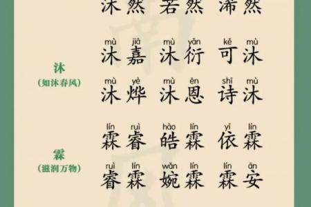 八字免费起名字,起名网生辰八字取名字