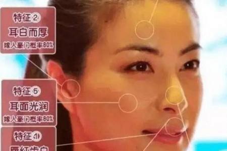 济缘算命：解读鼻子对命运的影响