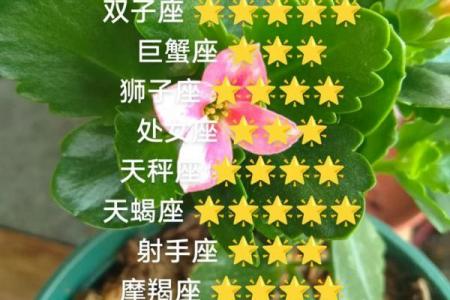 白羊座下一个星座运势