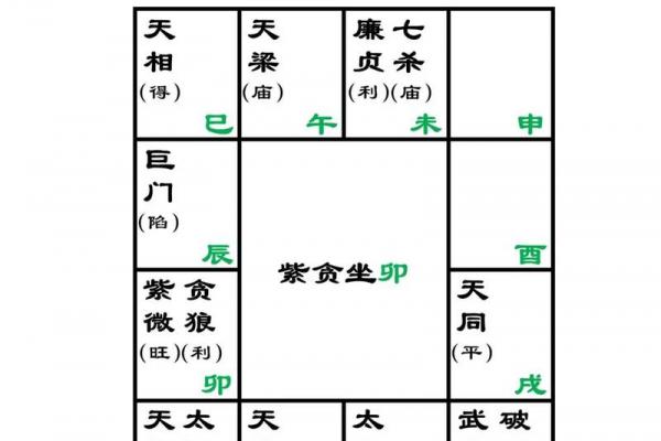 天虚紫薇斗数