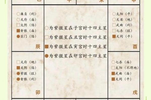 紫微星入命宫与其他星曜之关系分析#紫微斗数教学