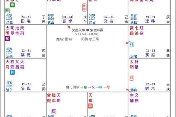 紫微星入命宫与其他星曜之关系分析#紫微斗数教学