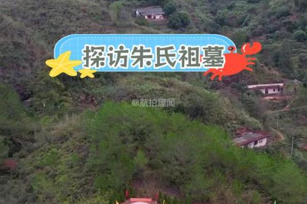 如何看坟地风水