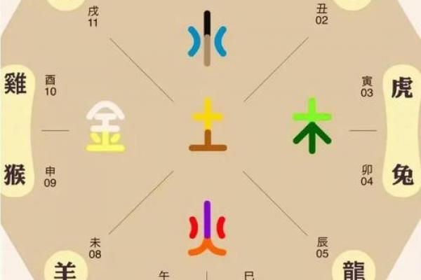 属羊和属鼠的八字合吗