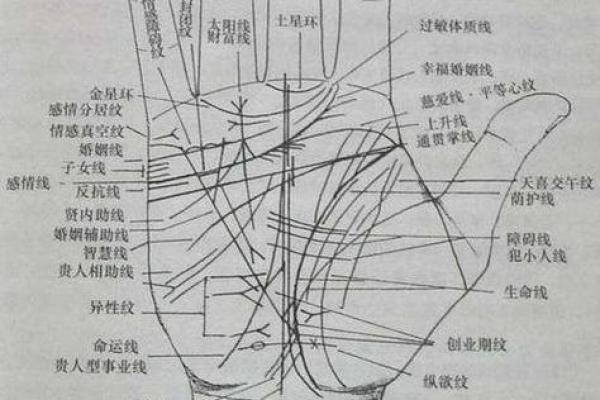 图解：手相纵欲线算命