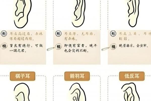 耳朵上的胎记算命分析