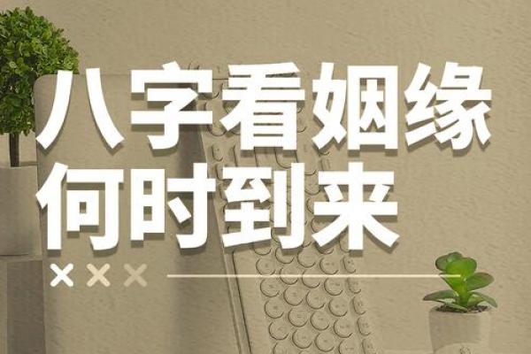 八字看婚姻,生辰八字看一生婚姻