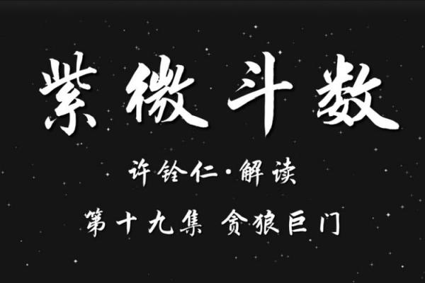 紫薇斗数之巨门