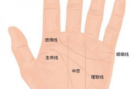 图解：手相纵欲线算命