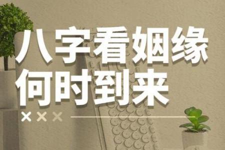 八字看婚姻,生辰八字看一生婚姻