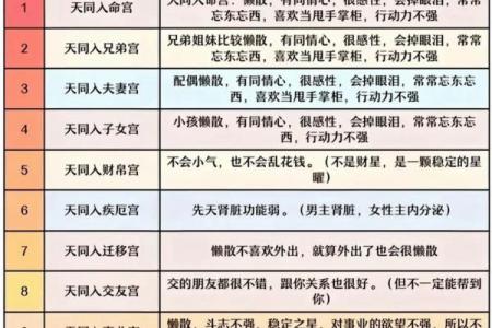 紫微斗数之子女宫与诸星，太阳星在子女宫是什么意思？