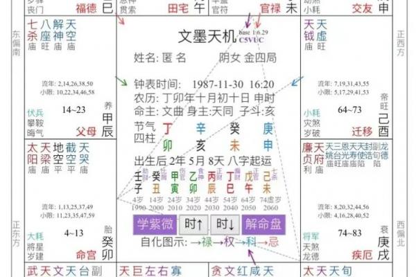 紫微命盘查询免费算命